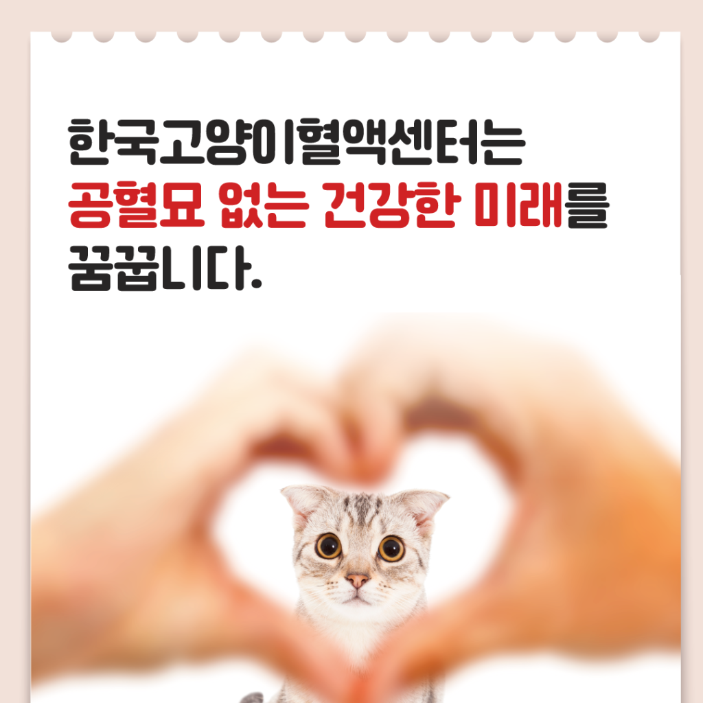 브랜드 라인업업 이미지